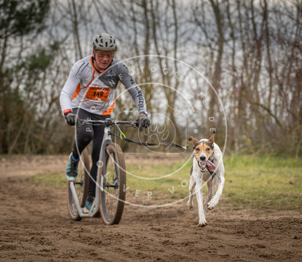 Pfotenfotografie_DV3A9772 | Hundefotografie, Tierfotograf, Pfotenfotografie, Fotoshooting Hund, Hunde Portrait, Hundesport, Hundeportraits, Heideshooting, Hunde, Sportfotograf, Hundefotograf, Turnierhundsport, THS,  - Realisiert mit Pictrs.com