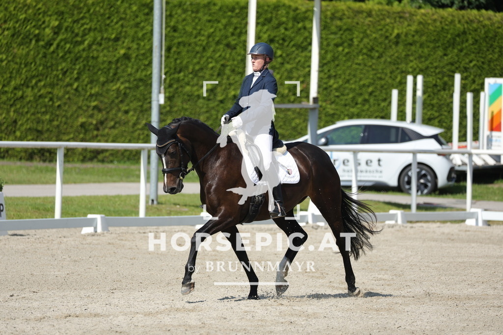 0P6A0383 | Willkommen bei Brunnmayr - Design & Fotografie – Ihrem Spezialisten für Reitturniere und Pferdeveranstaltungen in Oberösterreich, Salzburg und Bayern! Seit über 17 Jahren sind wir leidenschaftlich dabei.