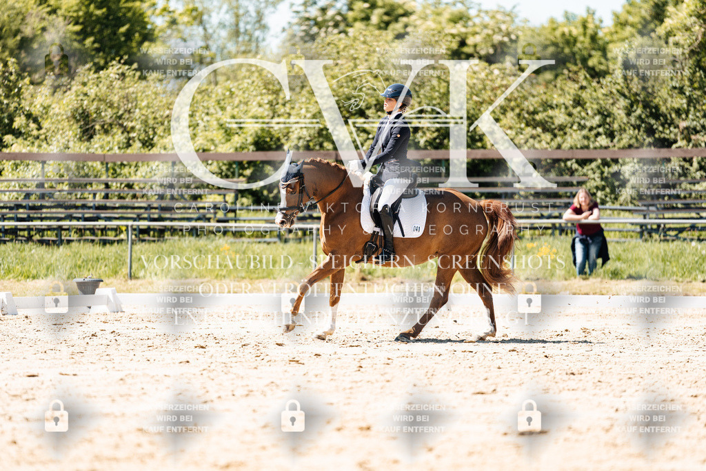 CK905680 | Turnierfotografie Pferdefotografie Trier Rheinland-Pfalz Pferdesport Reitsport Tierfotografie Sportfotografie Pferdevideo Pferdevideografie Equestrianvideography equestrianphotography  - Realisiert mit Pictrs.com