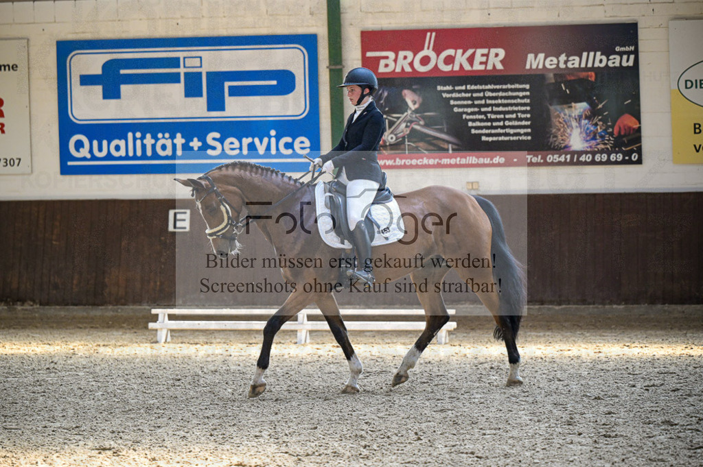 Reitturnier Voxtrup | Entdecke hochwertige Reitturnierfotos von Foto Oger. Professionell, emotional und authentisch – jetzt Lieblingsmomente im Shop bestellen.Deutschlandweite Turnierfotografie. - Realisiert mit Pictrs.com