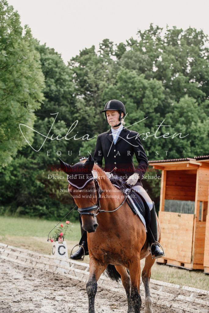 DSC_9743 | Pferde- und Turnierfotografie in Westsachsen. Pferdeportraits, Auftragszeichnungen und intuitive Kunst.