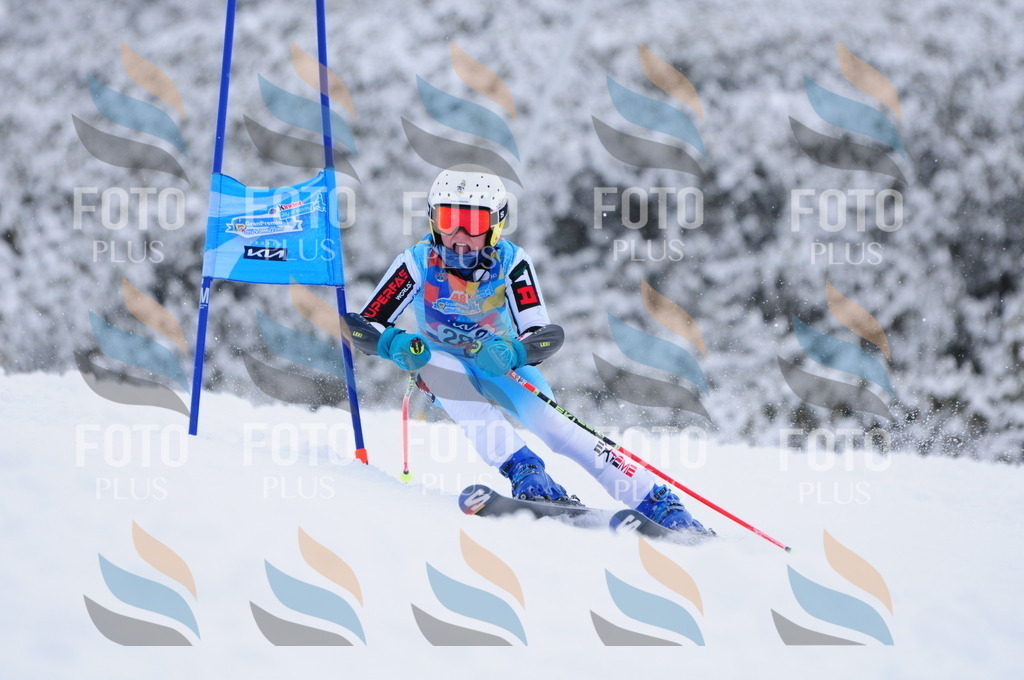 C2983 | holidayphoto