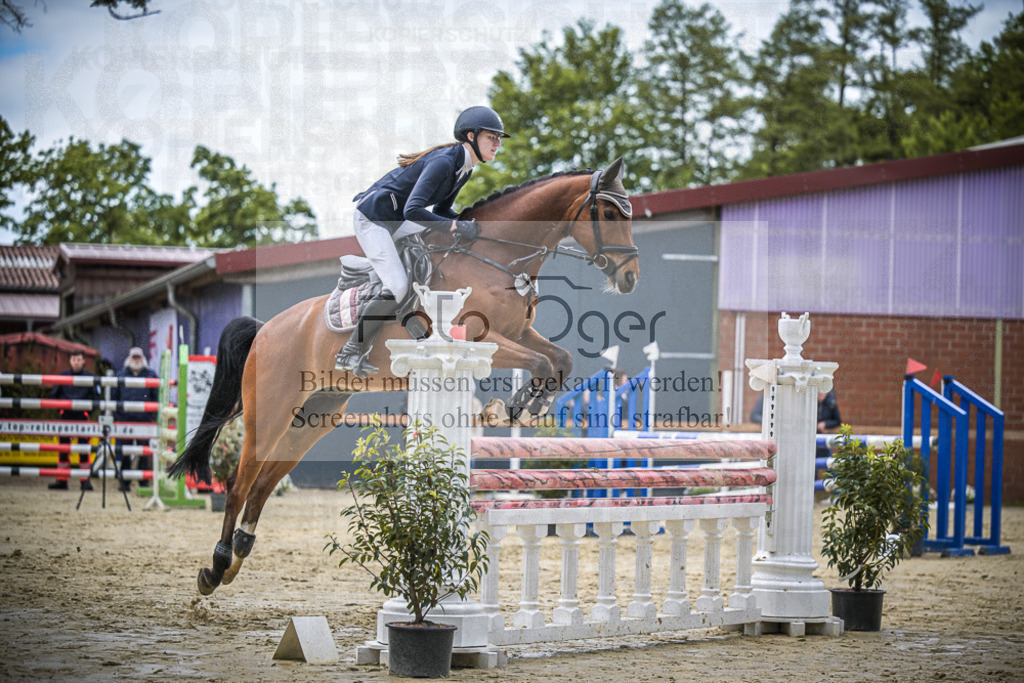 DOS_7403 | Entdecke hochwertige Reitturnierfotos von Foto Oger. Professionell, emotional und authentisch – jetzt Lieblingsmomente im Shop bestellen.Deutschlandweite Turnierfotografie. - Realisiert mit Pictrs.com