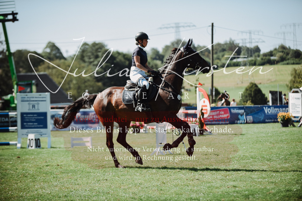 DSC_3268 | Pferde- und Turnierfotografie in Westsachsen. Pferdeportraits, Auftragszeichnungen und intuitive Kunst.