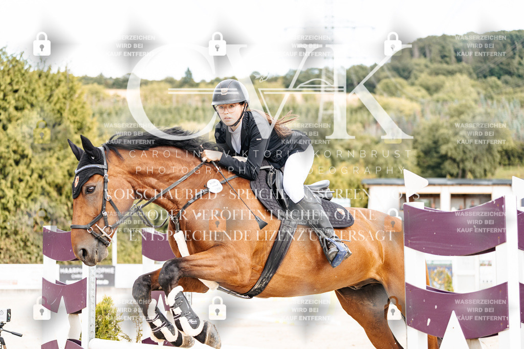 CK902786 | Turnierfotografie Pferdefotografie Trier Rheinland-Pfalz Pferdesport Reitsport Tierfotografie Sportfotografie Pferdevideo Pferdevideografie Equestrianvideography equestrianphotography  - Realisiert mit Pictrs.com