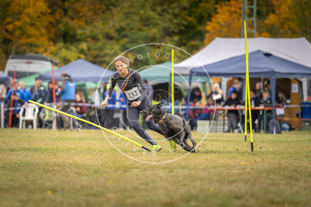 Pfotenfotografie_DV3A4230 | Hundefotografie, Tierfotograf, Pfotenfotografie, Fotoshooting Hund, Hunde Portrait, Hundesport, Hundeportraits, Heideshooting, Hunde, Sportfotograf, Hundefotograf, Turnierhundsport, THS,  - Realisiert mit Pictrs.com