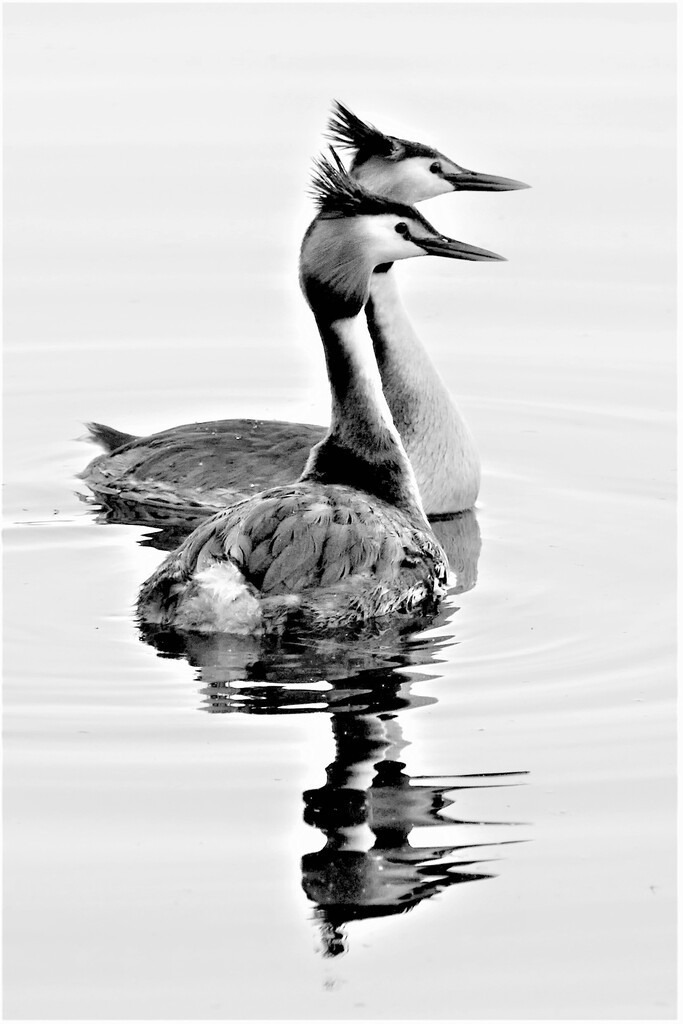 P7410402 (5) | Annaeherungen - Realisiert mit Pictrs.com