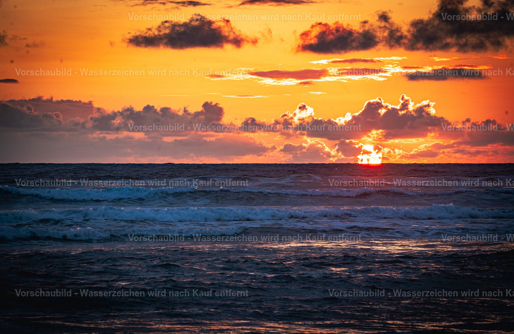 DSC02059-Enhanced-NR-5 | marcuslinek