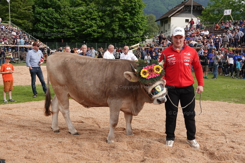 DSC04233 | Schwingen - Realisiert mit Pictrs.com