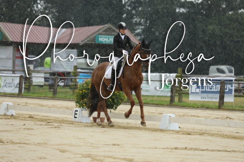 IMG_4699 | photographesa-joergens - Realisiert mit Pictrs.com