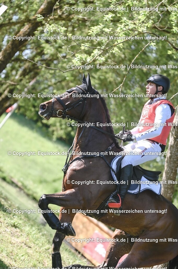 20250517_CCI2_Gelände_0150 | Foto: Thomas Hartig