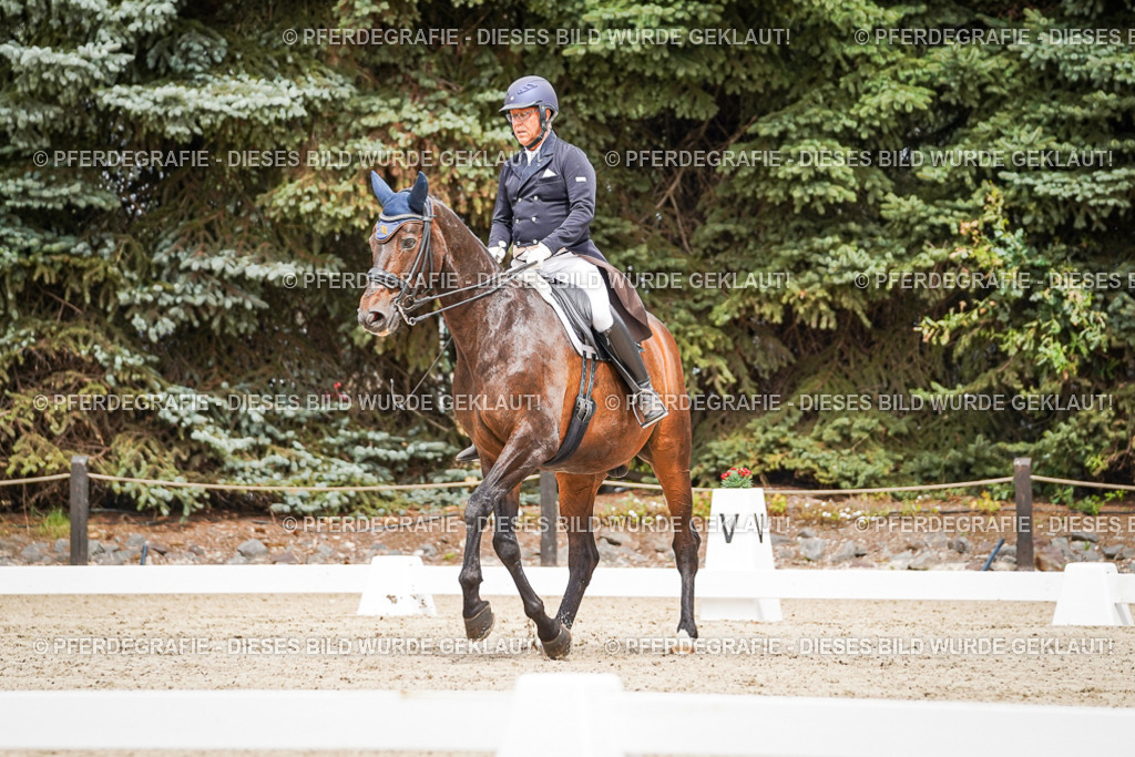 DSC05074 | Pferdegrafie