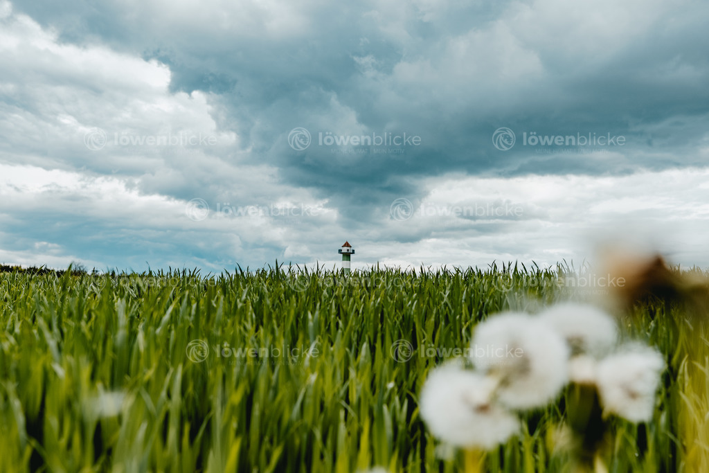 Reinhold-Maier-Turm in Breech bei Börtlingen | löwenblicke | shop