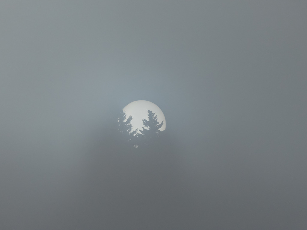 PSX_20230303_232208 | mtkfoto_ - Realisiert mit Pictrs.com