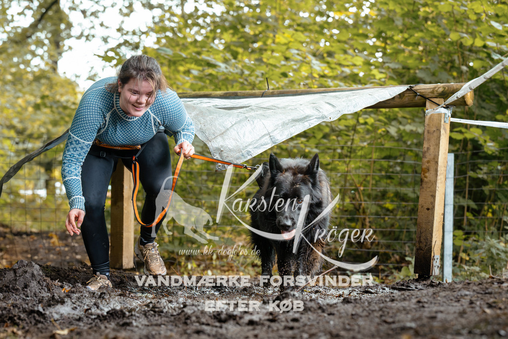 1430DZ6_2605Z6 | kk-dogfotos