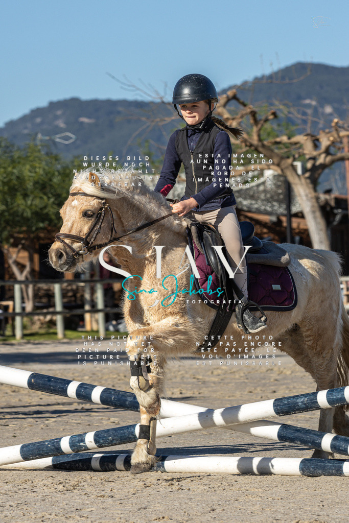 IMG_7994 | s-jay-photography - Realisiert mit Pictrs.com