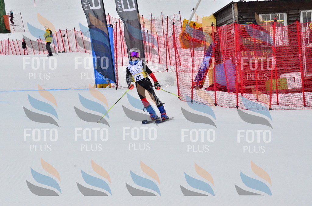 _ELE3651 | holidayphoto