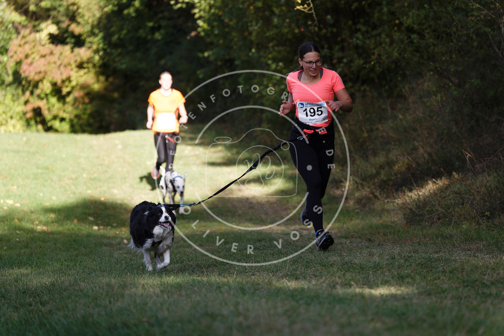 0L8A5712 | Hundefotografie, Tierfotograf, Pfotenfotografie, Fotoshooting Hund, Hunde Portrait, Hundesport, Hundeportraits, Heideshooting, Hunde, Sportfotograf, Hundefotograf, Turnierhundsport, THS,  - Realisiert mit Pictrs.com