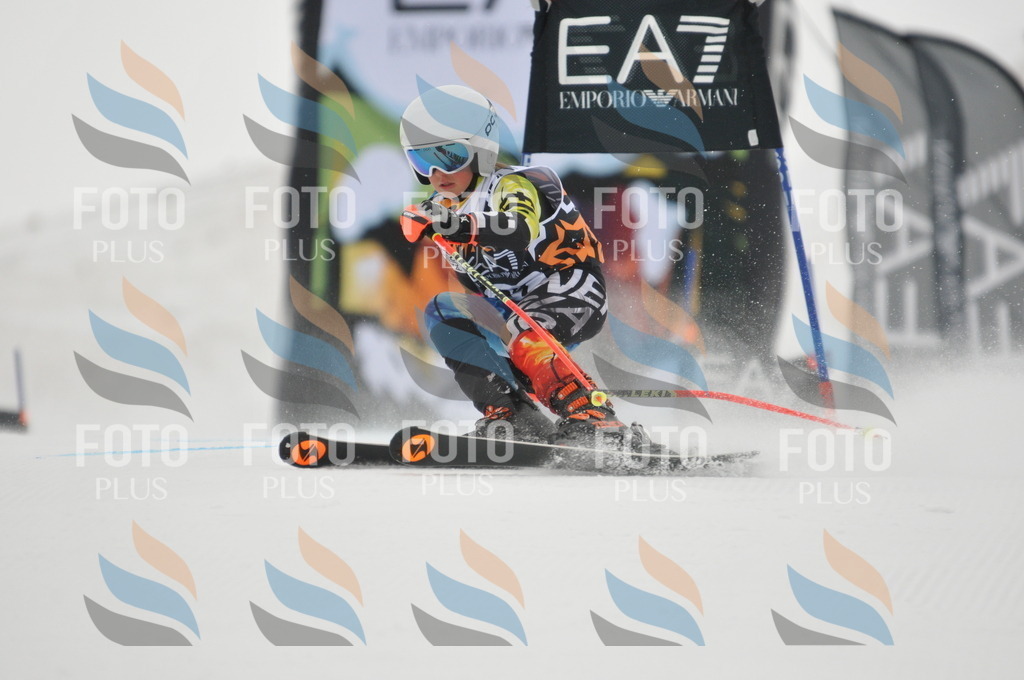 DSC_7492 | holidayphoto