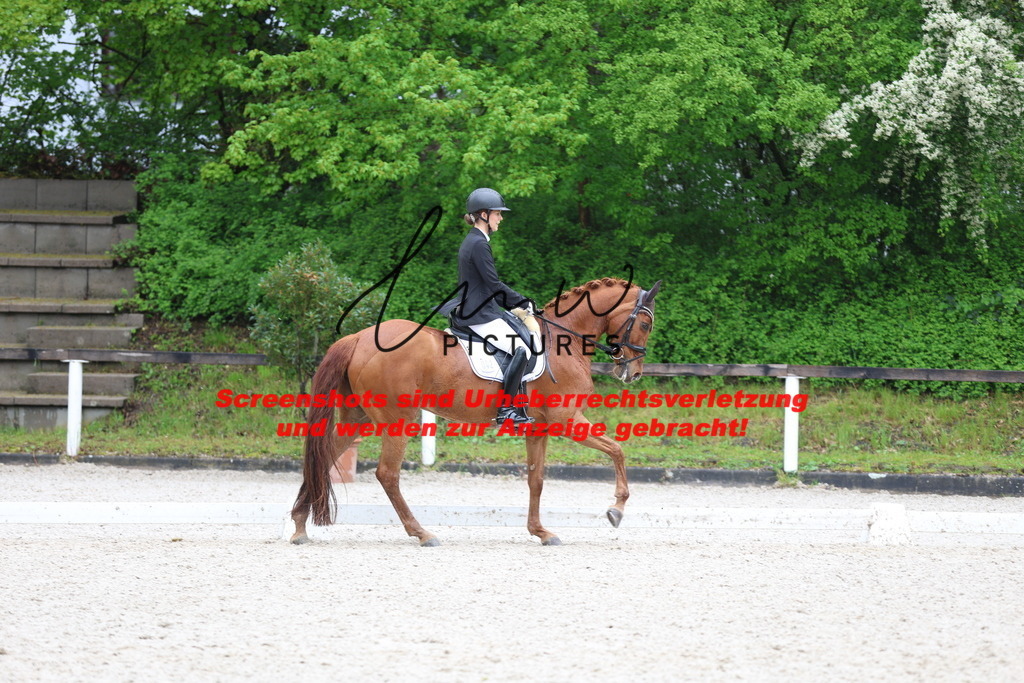 A40A9542 | lmwpictures - Realisiert mit Pictrs.com