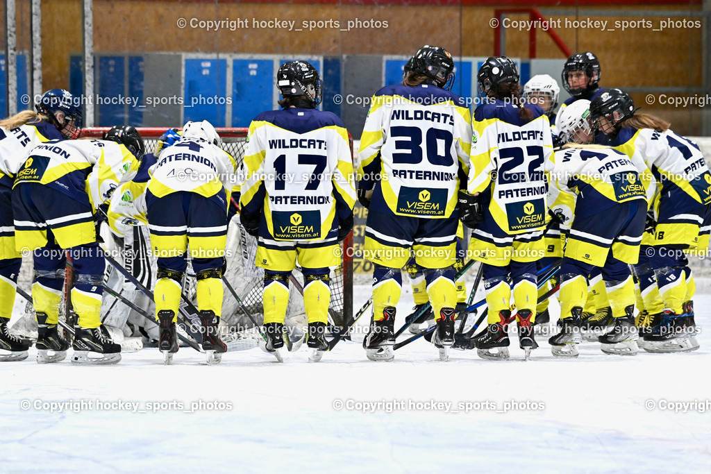 Wildcats Paternion vs. Lady Hawks  | Wildcats Paternion Mannschaft, Wildcats Paternion vs. Lady Hawks , Wildcats Paternion vs. Lady Hawks  am 27.01.2025 in Spittal an der Drau (Eissportzentrum Spittal), Austria, (Photo by Bernd Stefan)