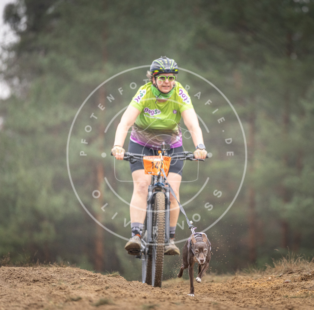 Pfotenfotografie_DV3A4092 | Hundefotografie, Tierfotograf, Pfotenfotografie, Fotoshooting Hund, Hunde Portrait, Hundesport, Hundeportraits, Heideshooting, Hunde, Sportfotograf, Hundefotograf, Turnierhundsport, THS,  - Realisiert mit Pictrs.com