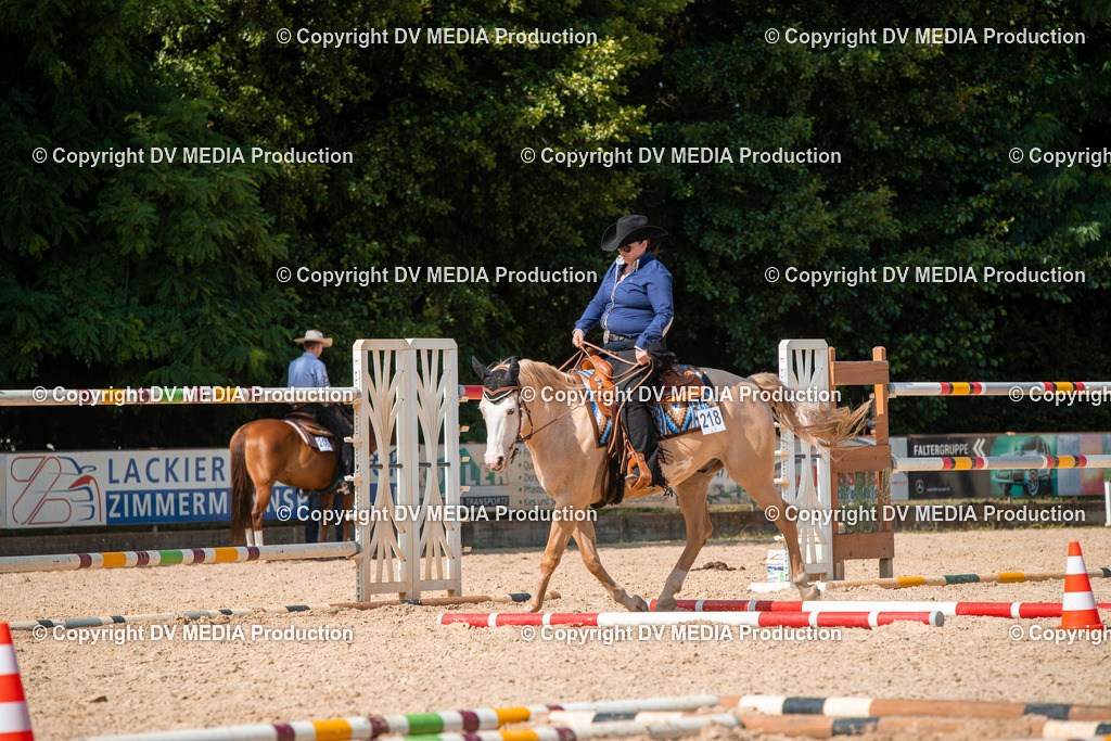 EWP_6900 | dv-media-shop - Realisiert mit Pictrs.com