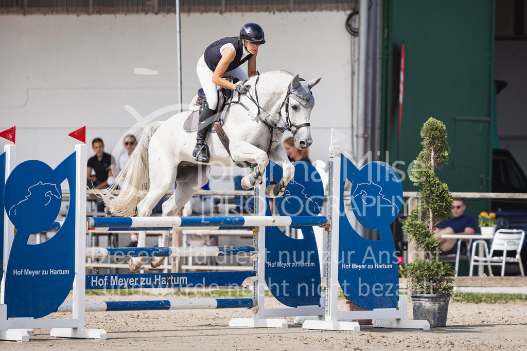 250629_PfSpTa_Stil-L2-354 | Deine schönsten Turniermomente als professionelle Fotos! Entdecke hochwertige Pferdesport-Fotografie im Online-Shop. Jetzt Fotos finden & bestellen!