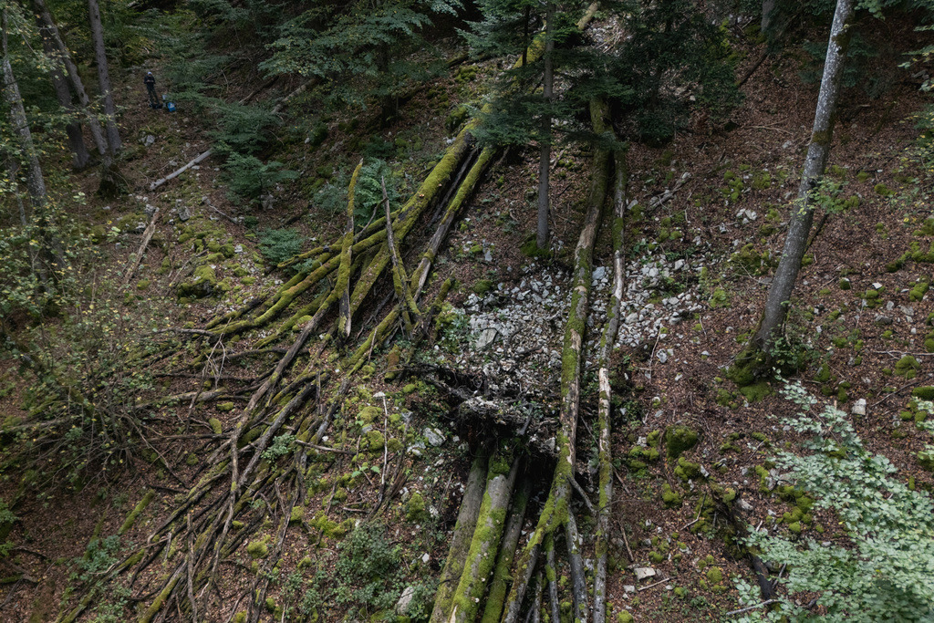 ZD250916101138 | default