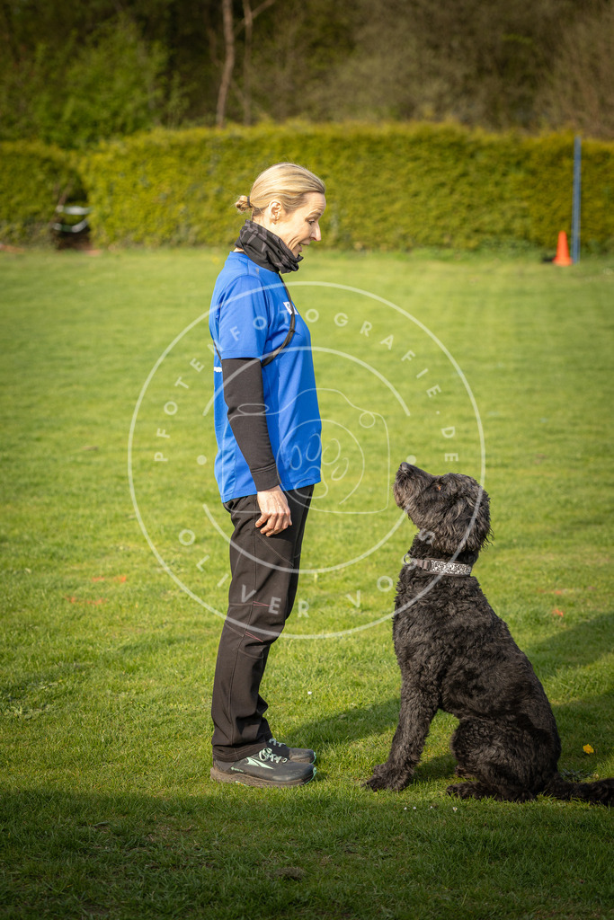Pfotenfotografie_DV3A4803 | Hundefotografie, Tierfotograf, Pfotenfotografie, Fotoshooting Hund, Hunde Portrait, Hundesport, Hundeportraits, Heideshooting, Hunde, Sportfotograf, Hundefotograf, Turnierhundsport, THS,  - Realisiert mit Pictrs.com