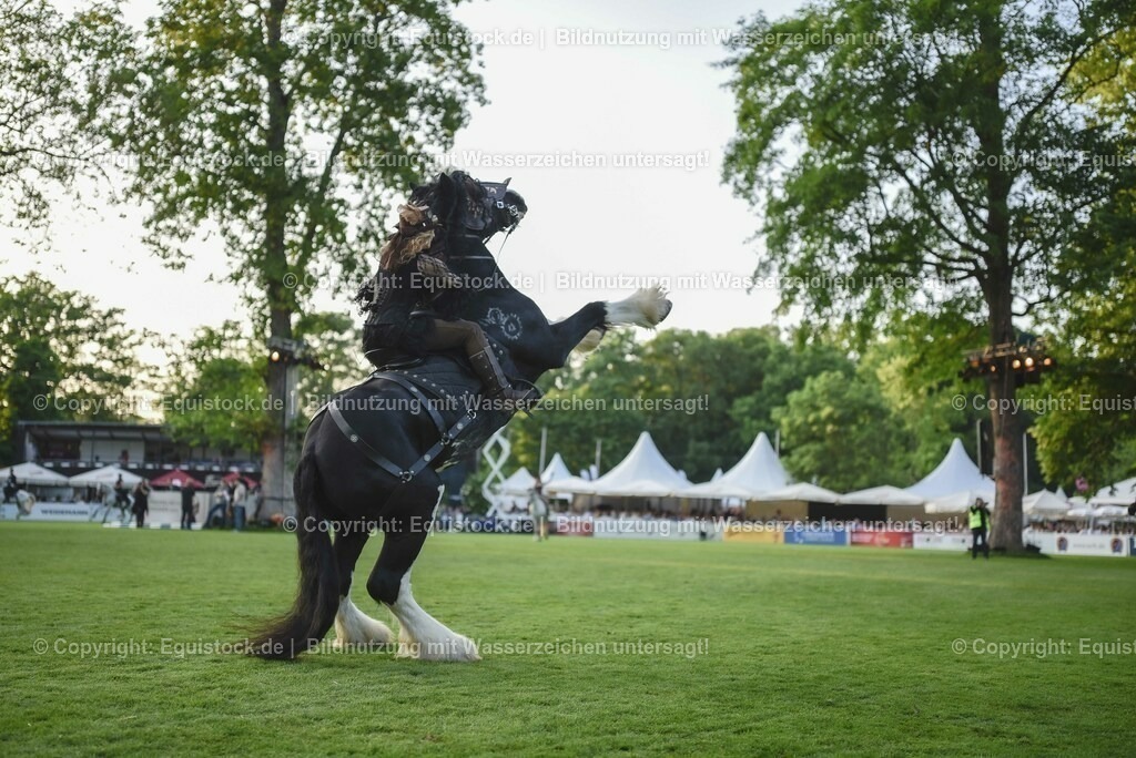 20230526_Pferdenacht_0303 | equistock