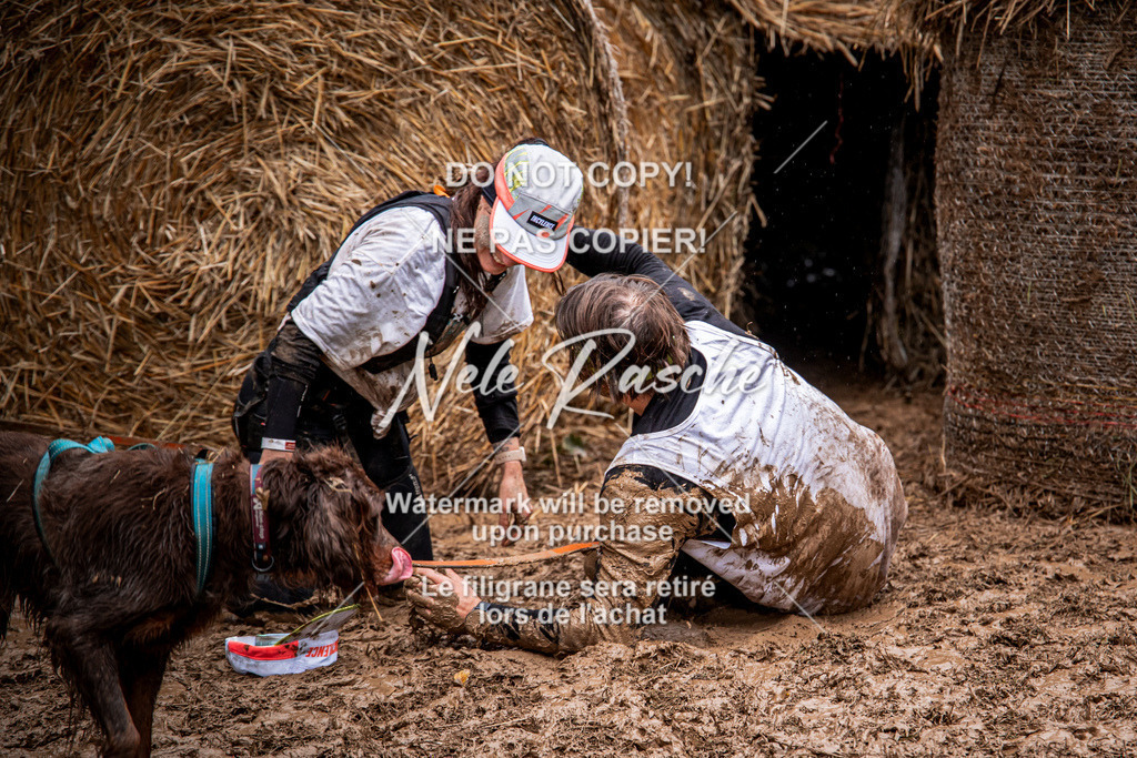 nelerasche_Hunsrück_So09-11_61 | nelerasche