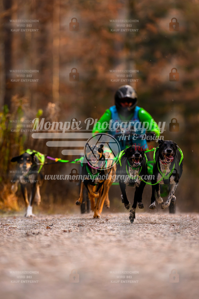 MompixPhotography_DM_AKDM_SO_2025_Wagen-20 | PayLife
