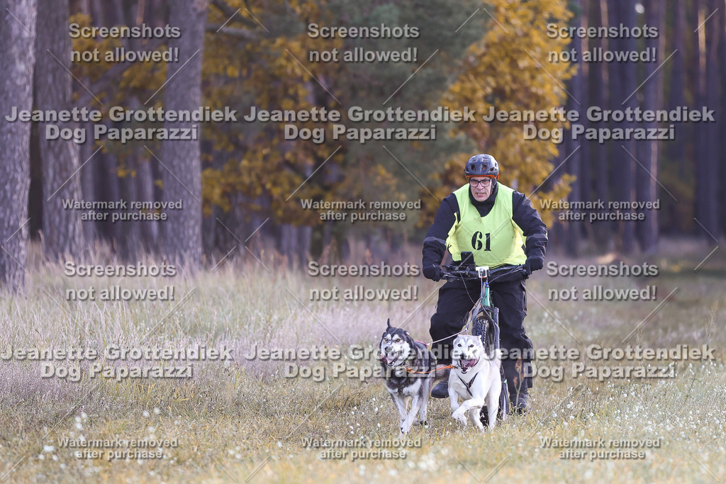 Dog Paparazzi - Elsholz 25 -12 | Dog Paparazzi Jeanette Grottendiek Fotografie & Videografie - Realisiert mit Pictrs.com