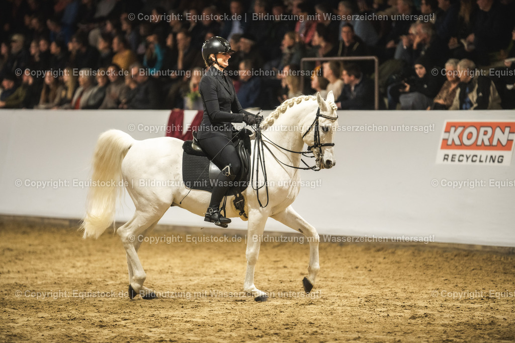 20240302_Hengstvorstellung_Marbach_TOMsPiC_1073-2 | equistock