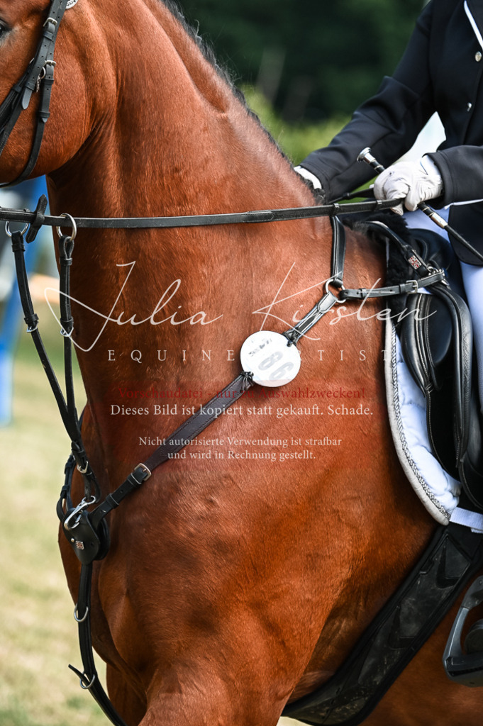 DSC_9837 | Pferde- und Turnierfotografie in Westsachsen. Pferdeportraits, Auftragszeichnungen und intuitive Kunst.