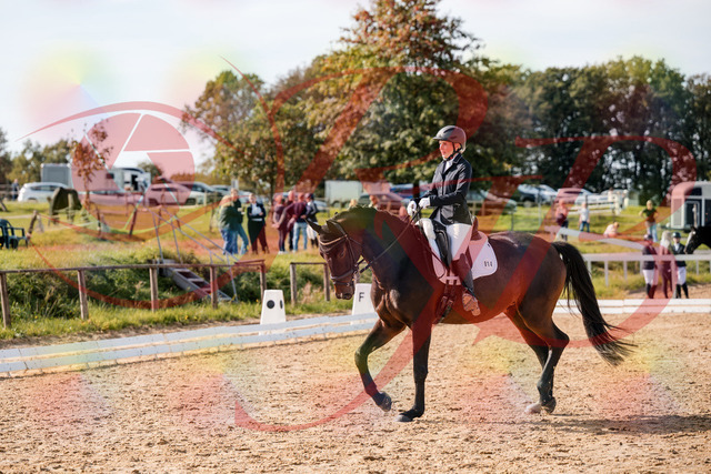 2026_10_03_Siefer-Hof_133621_Z63_96904150 | Professionelle Reitsport-, Turnier- und Eventfotografie von Robert Broda. Galerien mit ausgewählten und bearbeiteten Bildern direkt online ansehen und bestellen.