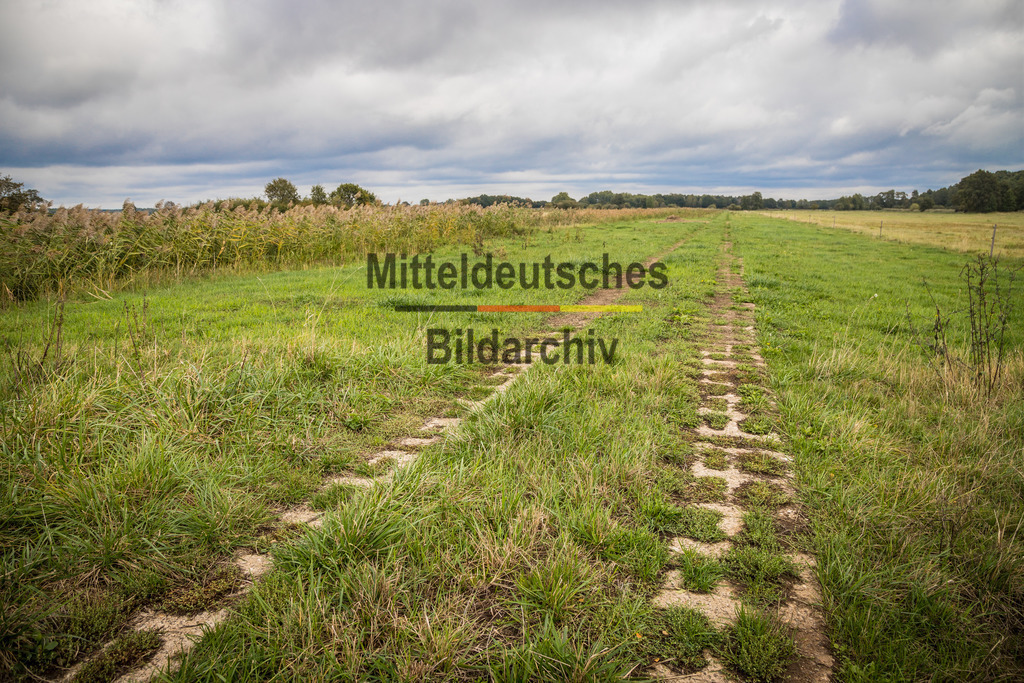 innerdeutsche Grenze Grünes Band Arendsee-1879 | Die innerdeutsche deutsch-deutsche Grenze, das Grüne Band - Realisiert mit Pictrs.com