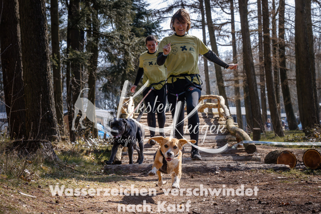 1329_ZZ95222-Bearbeitet | kk-dogfotos