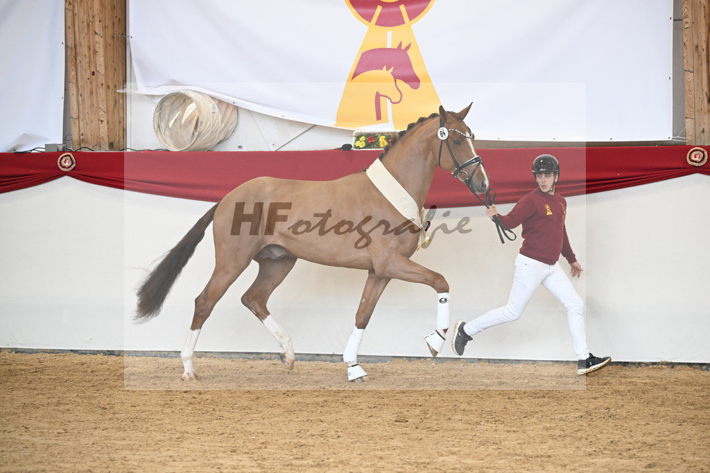 Kat.-Nr. 84 v. Vaderland_van den Oetelaar_2251974 | hf-fotografie - Realizzato con Pictrs.com