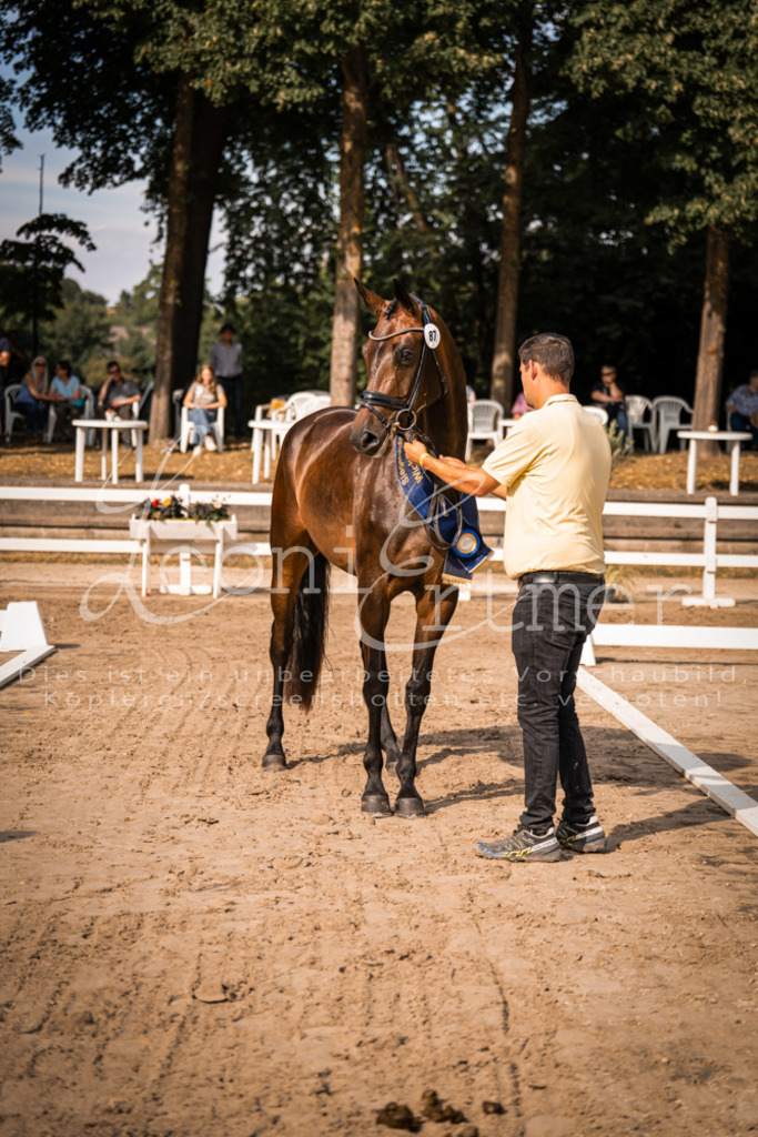 FrER00206 | Leoni Ertmer Photography - Realisiert mit Pictrs.com