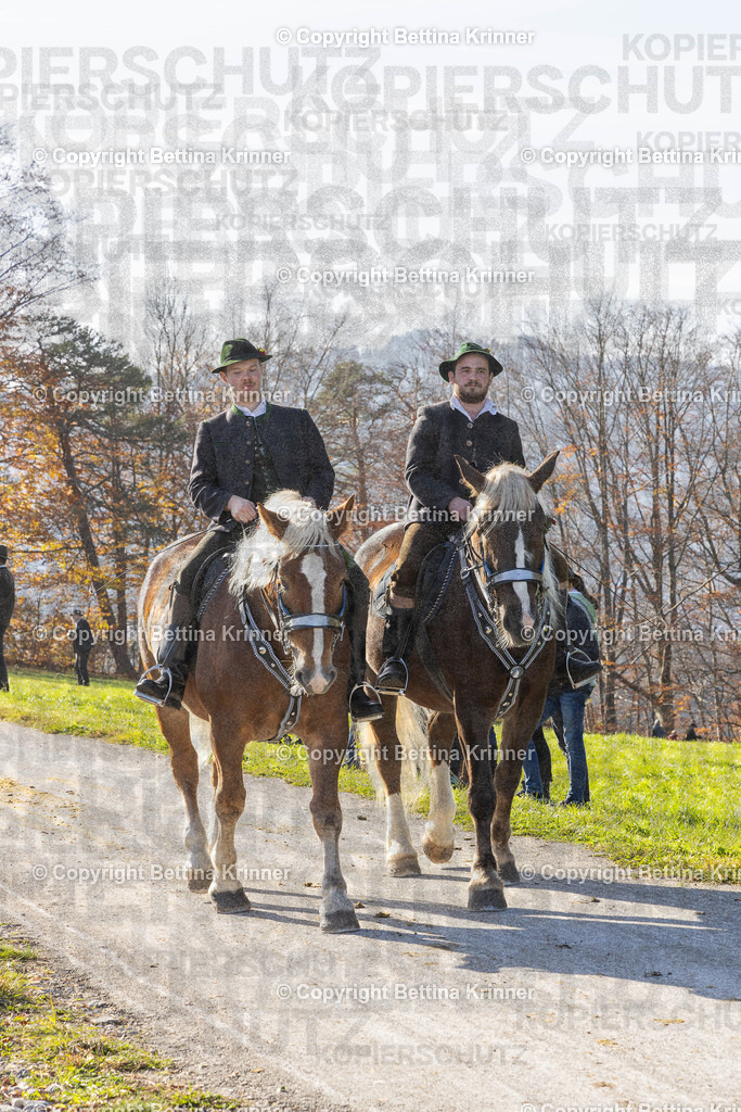LBT24-1555 | Professionelle Fotografin mit Fachgeschäft in Lenggries & im Landkreis Bad Tölz Wolfratshausen. Hochzeitsreportage, Familienfotos, Newborn-, Babybauch-, Pass- & Businessfotos.Alles Rund ums Foto