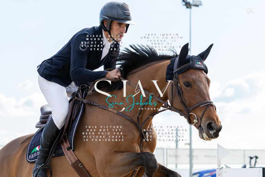 IMG_2533 | s-jay-photography - Realisiert mit Pictrs.com