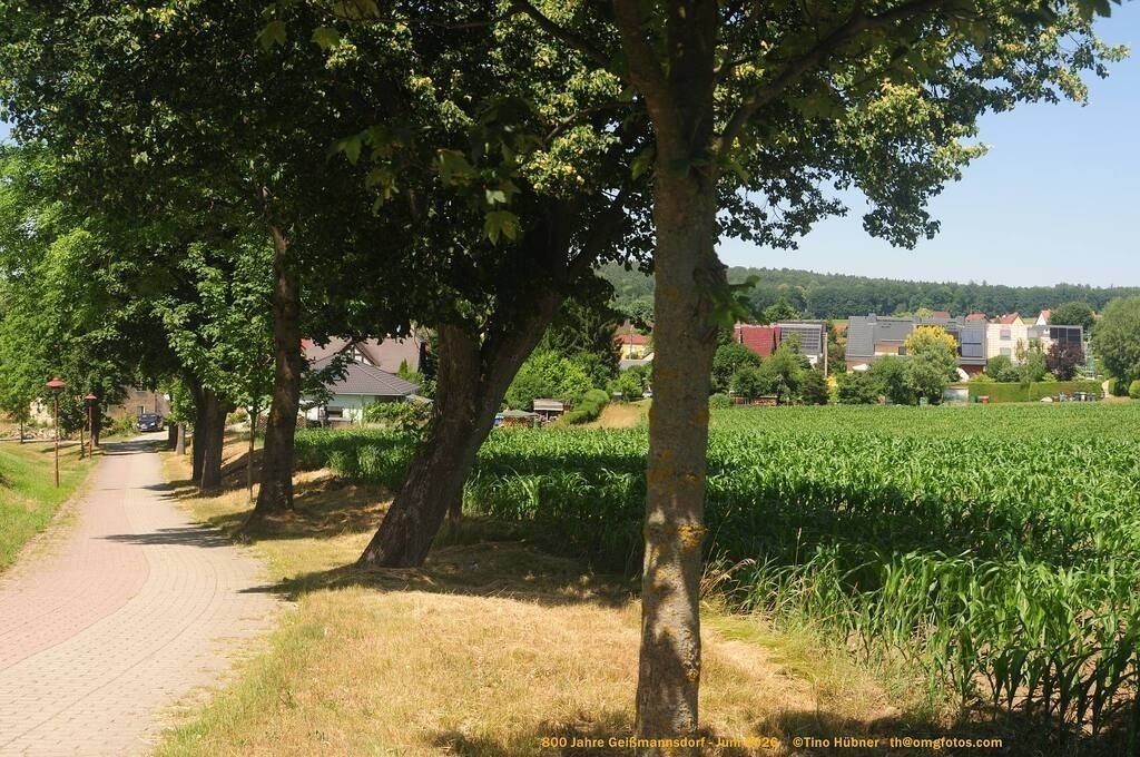 Geißmannsdorf-2026-Ortsbilder-546 | Geißmannsdorf bei Bischofswerda im Sommer 2026. Ein fotografischer Streifzug durch das Dorf Geißmannsdorf, mit Gebäuden, Straßen, Strohpuppen und geschmückten Vorgärten und Grundstücken anlässlich der 800-Jahr-Feier von Geißmannsdorf im Juni 2026 - Realisiert mit Pictrs.com
