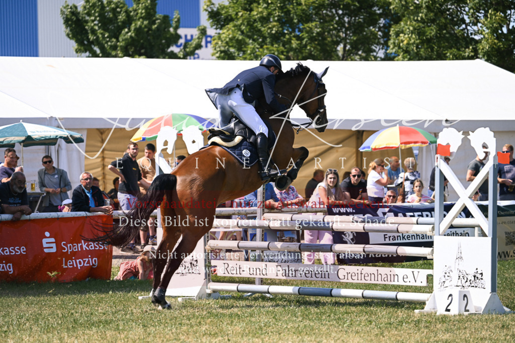 DSC_0188 | Pferde- und Turnierfotografie in Westsachsen. Pferdeportraits, Auftragszeichnungen und intuitive Kunst.