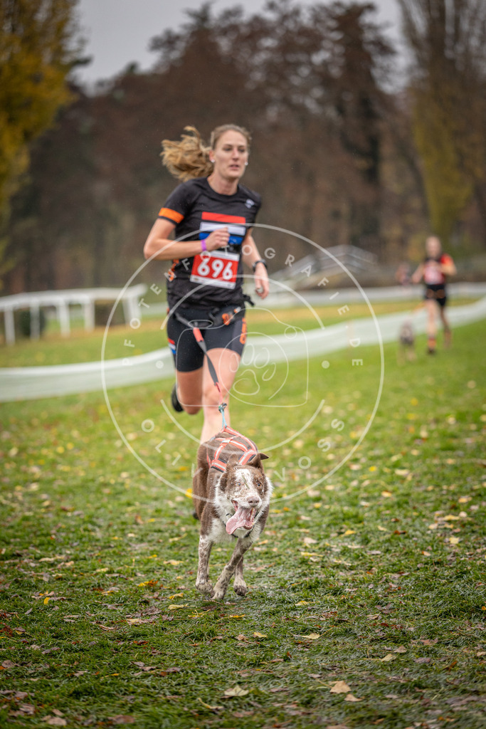 CaniXpix_DV3A9266 | Hundefotografie, Tierfotograf, Pfotenfotografie, Fotoshooting Hund, Hunde Portrait, Hundesport, Hundeportraits, Heideshooting, Hunde, Sportfotograf, Hundefotograf, Turnierhundsport, THS,  - Realisiert mit Pictrs.com