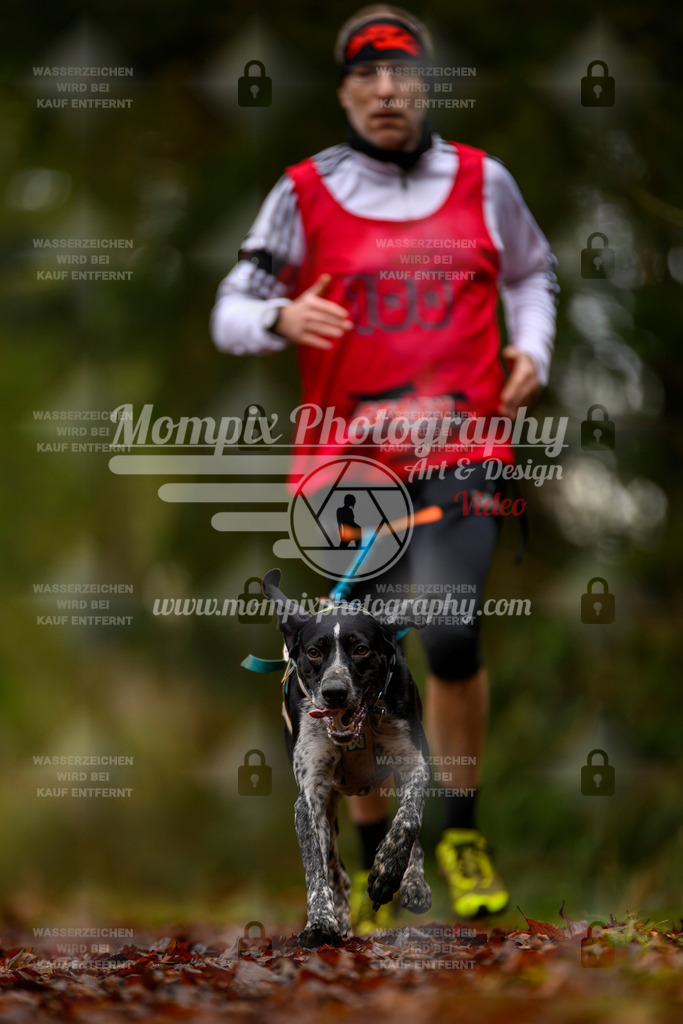 MompixPhotography_2SSTSSBW_2025_SO_Canicross-54 | PayLife