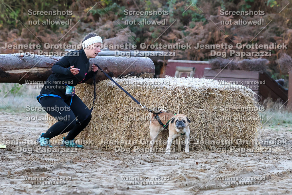 Dog Paparazzi - Strongdog 10-25-47 | Dog Paparazzi Jeanette Grottendiek Fotografie & Videografie - Realisiert mit Pictrs.com