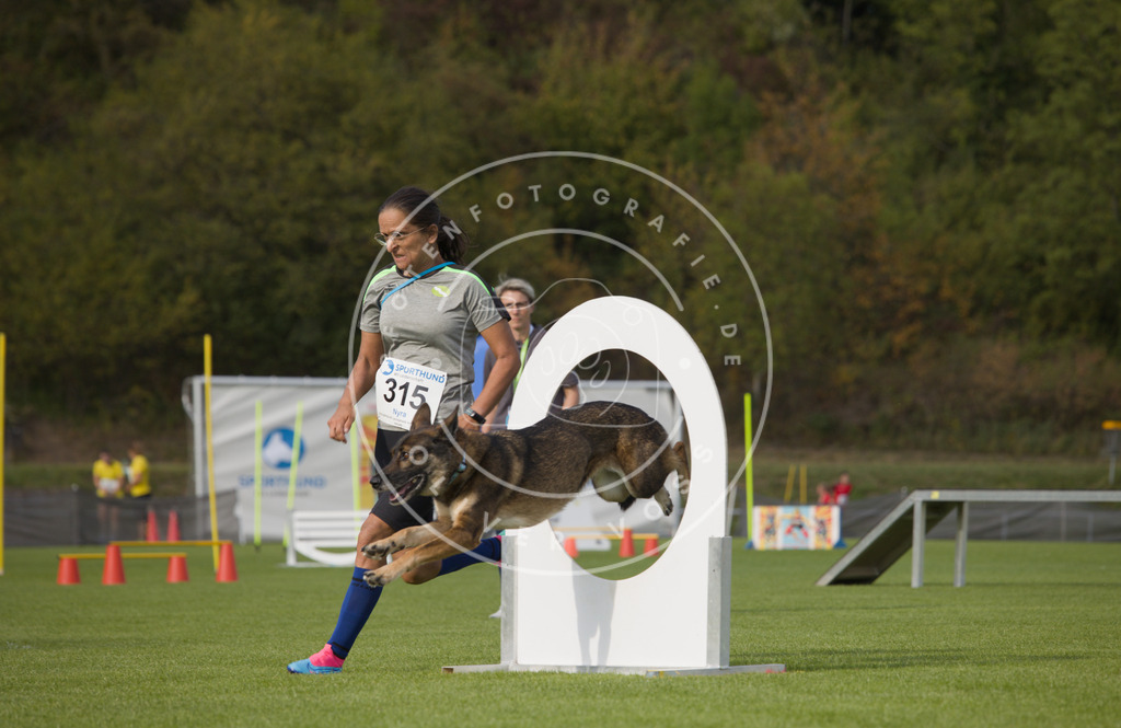 0L8A3767 | Hundefotografie, Tierfotograf, Pfotenfotografie, Fotoshooting Hund, Hunde Portrait, Hundesport, Hundeportraits, Heideshooting, Hunde, Sportfotograf, Hundefotograf, Turnierhundsport, THS,  - Realisiert mit Pictrs.com