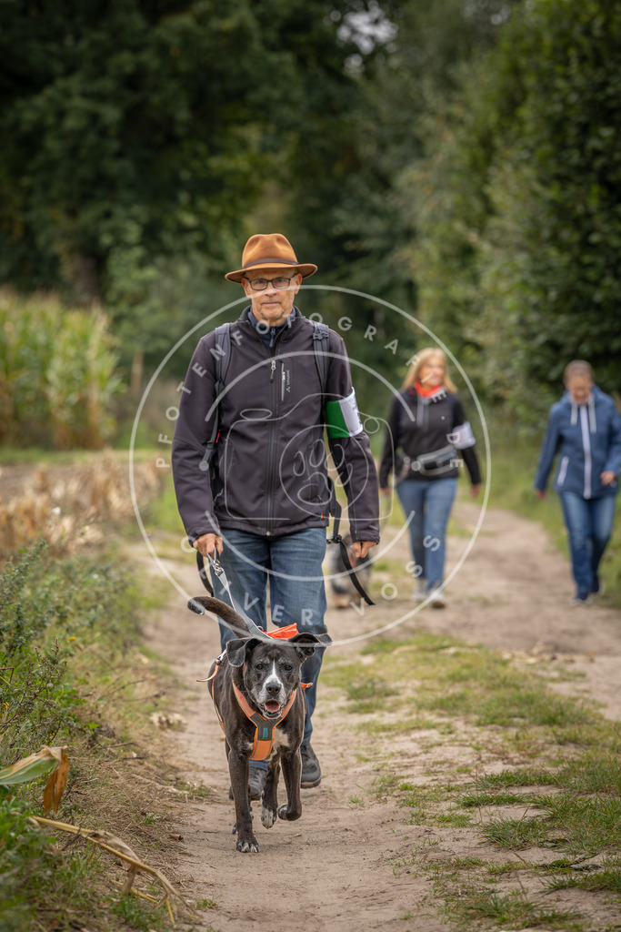 Pfotenfotografie_DV3A6292 | Hundefotografie, Tierfotograf, Pfotenfotografie, Fotoshooting Hund, Hunde Portrait, Hundesport, Hundeportraits, Heideshooting, Hunde, Sportfotograf, Hundefotograf, Turnierhundsport, THS,  - Realisiert mit Pictrs.com